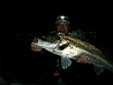 2004-11-24 023.JPG